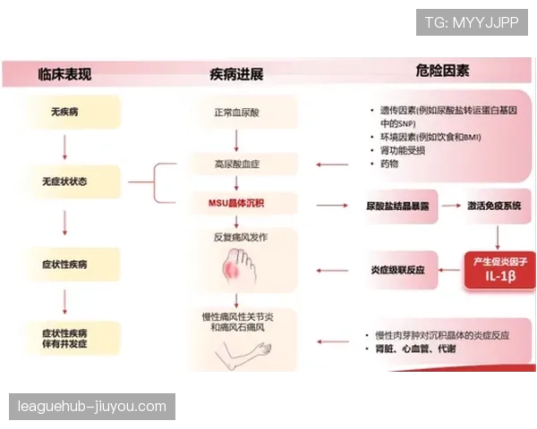 进球判定规则详解:关键判罚条件与常见误区解析 进球判定规则详解:关键判罚条件与常见误区解析